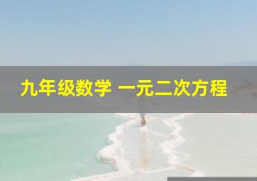 九年级数学 一元二次方程